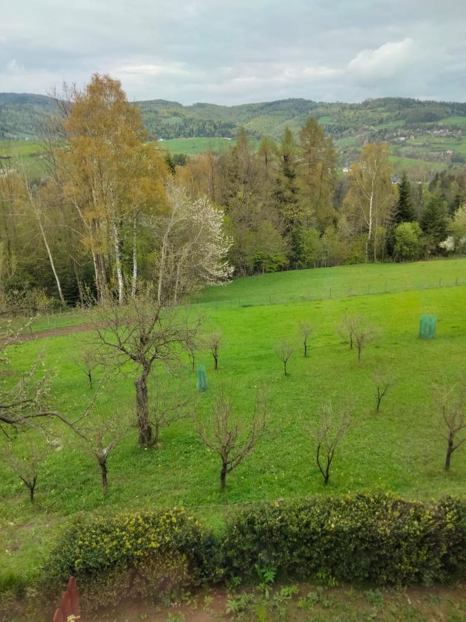 Apartament W Ogrodzie Tylka Εξωτερικό φωτογραφία
